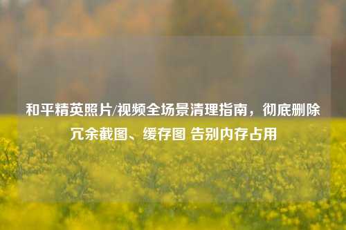 和平精英照片/视频全场景清理指南,彻底删除冗余截图、缓存图 告别内存占用