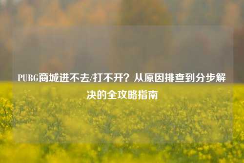 PUBG商城进不去/打不开?从原因排查到分步解决的全攻略指南