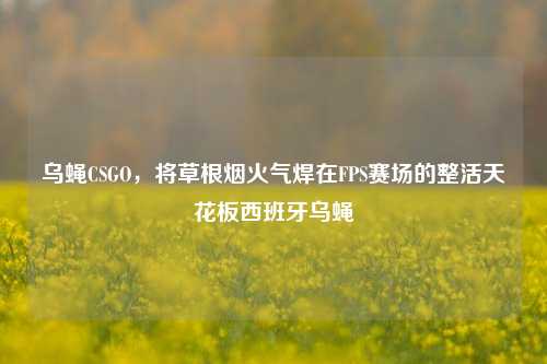 乌蝇CSGO,将草根烟火气焊在FPS赛场的整活天花板西班牙乌蝇