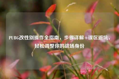 PUBG改性别操作全指南,步骤详解+误区避坑,轻松调整你的战场身份