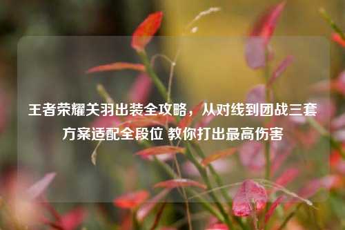 王者荣耀关羽出装全攻略,从对线到团战三套方案适配全段位 教你打出最高伤害