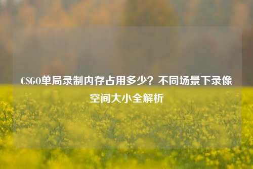 CSGO单局录制内存占用多少?不同场景下录像空间大小全解析