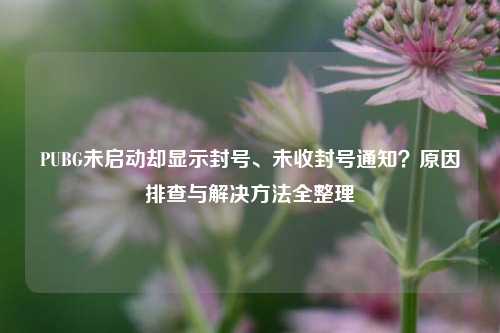 PUBG未启动却显示封号、未收封号通知?原因排查与解决方法全整理