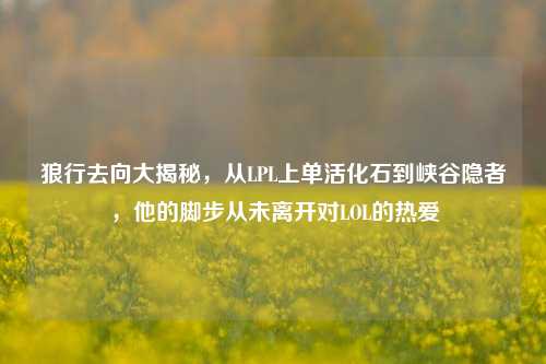 狼行去向大揭秘,从LPL上单活化石到峡谷隐者,他的脚步从未离开对LOL的热爱