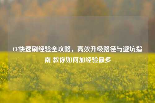 CF快速刷经验全攻略,高效升级路径与避坑指南 教你如何加经验最多