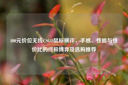 400元价位无线CSGO鼠标横评,手感、性能与性价比的终极博弈及选购推荐