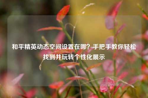和平精英动态空间设置在哪?手把手教你轻松找到并玩转个性化展示