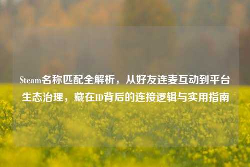 Steam名称匹配全解析,从好友连麦互动到平台生态治理,藏在ID背后的连接逻辑与实用指南