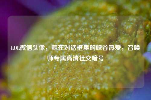 LOL微信头像,藏在对话框里的峡谷热爱,召唤师专属高清社交暗号