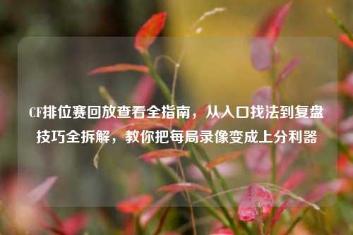 CF排位赛回放查看全指南,从入口找法到复盘技巧全拆解,教你把每局录像变成上分利器