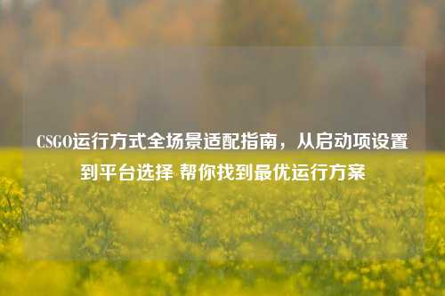 CSGO运行方式全场景适配指南,从启动项设置到平台选择 帮你找到最优运行方案
