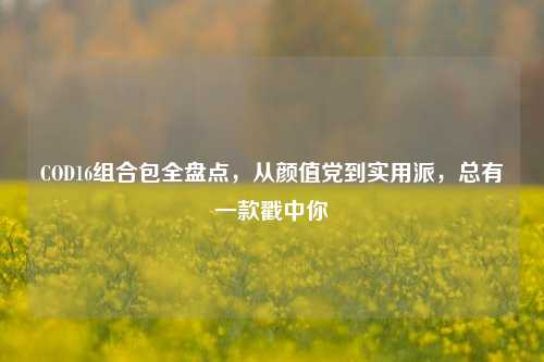 COD16组合包全盘点,从颜值党到实用派,总有一款戳中你