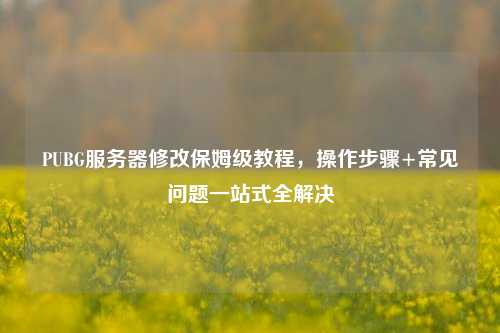PUBG服务器修改保姆级教程,操作步骤+常见问题一站式全解决