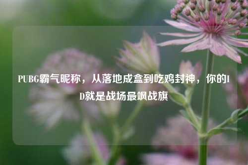 PUBG霸气昵称,从落地成盒到吃鸡封神,你的ID就是战场最飒战旗