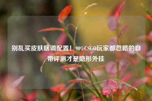 别乱买皮肤瞎调配置!90%CSGO玩家都忽略的自带评测才是隐形外挂