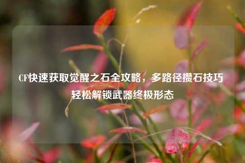 CF快速获取觉醒之石全攻略,多路径攒石技巧 轻松解锁武器终极形态