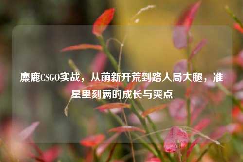 麋鹿CSGO实战,从萌新开荒到路人局大腿,准星里刻满的成长与爽点