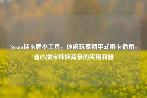 Steam挂卡牌小工具,休闲玩家躺平式集卡指南,省心攒宝珠换背景的实用利器