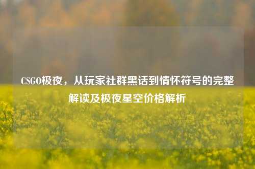 CSGO极夜,从玩家社群黑话到情怀符号的完整解读及极夜星空价格解析