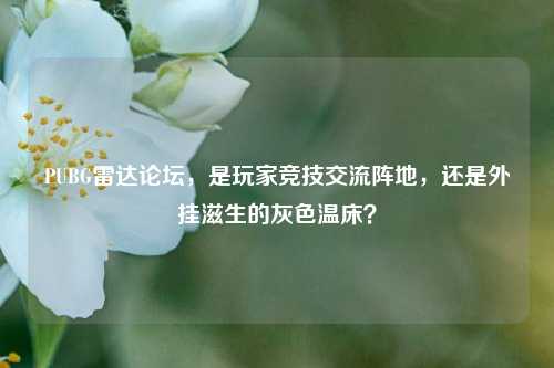 PUBG雷达论坛,是玩家竞技交流阵地,还是外挂滋生的灰色温床?