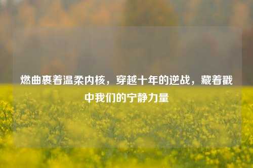 燃曲裹着温柔内核,穿越十年的逆战,藏着戳中我们的宁静力量