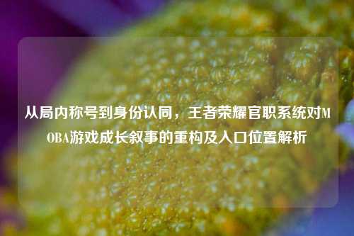 从局内称号到身份认同,王者荣耀官职系统对MOBA游戏成长叙事的重构及入口位置解析