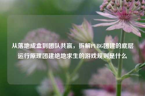 从落地成盒到团队共赢,拆解PUBG团建的底层运行原理团建绝地求生的游戏规则是什么
