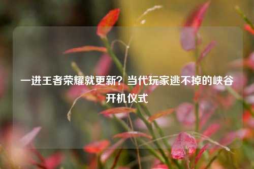 一进王者荣耀就更新?当代玩家逃不掉的峡谷开机仪式