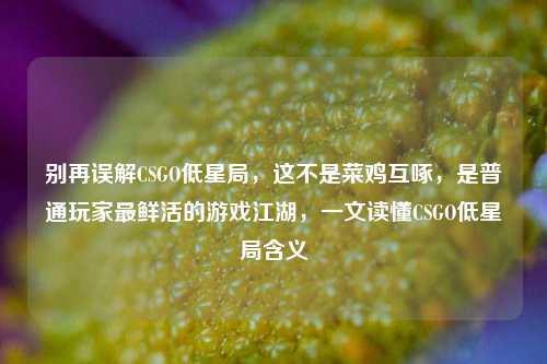 别再误解CSGO低星局,这不是菜鸡互啄,是普通玩家最鲜活的游戏江湖,一文读懂CSGO低星局含义