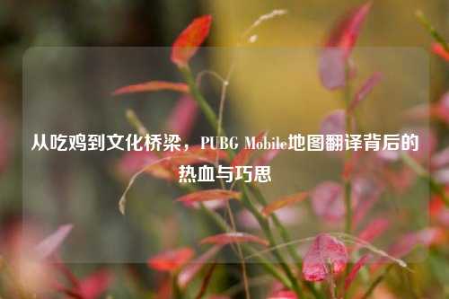 从吃鸡到文化桥梁,PUBG Mobile地图翻译背后的热血与巧思