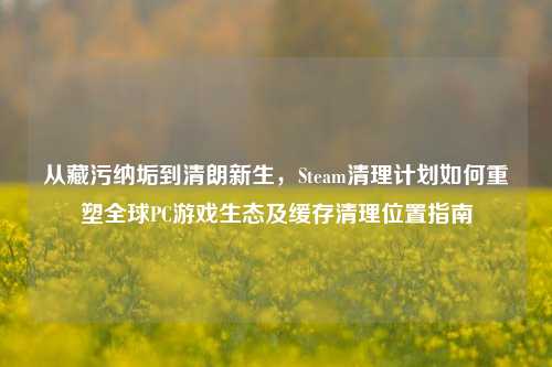 从藏污纳垢到清朗新生,Steam清理计划如何重塑全球PC游戏生态及缓存清理位置指南