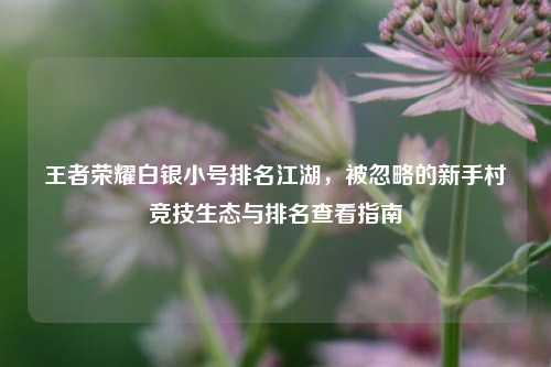 王者荣耀白银小号排名江湖,被忽略的新手村竞技生态与排名查看指南