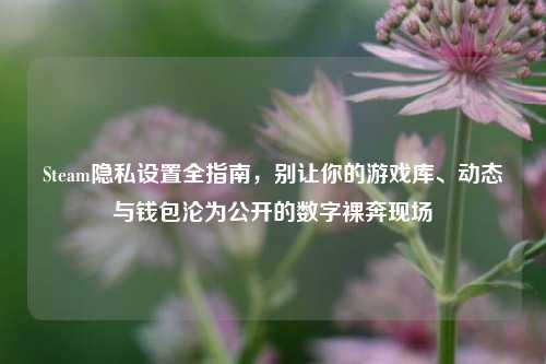 Steam隐私设置全指南,别让你的游戏库、动态与钱包沦为公开的数字裸奔现场