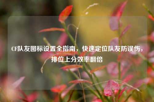 CF队友图标设置全指南,快速定位队友防误伤,排位上分效率翻倍