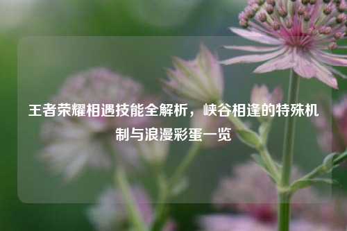 王者荣耀相遇技能全解析,峡谷相逢的特殊机制与浪漫彩蛋一览