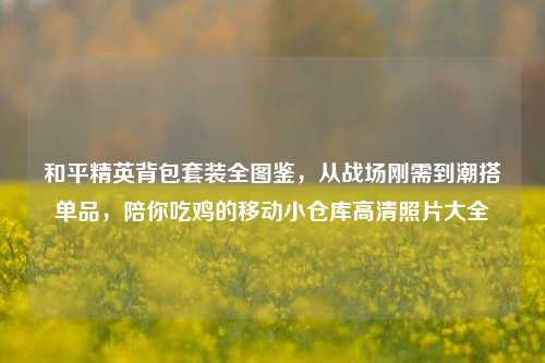 和平精英背包套装全图鉴,从战场刚需到潮搭单品,陪你吃鸡的移动小仓库高清照片大全