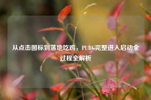 从点击图标到落地吃鸡，PUBG完整进入启动全过程全解析