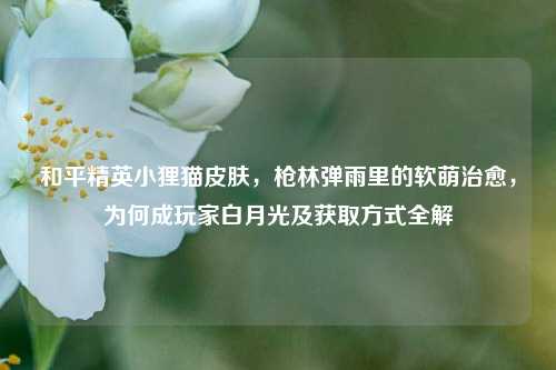 和平精英小狸猫皮肤,枪林弹雨里的软萌治愈,为何成玩家白月光及获取方式全解