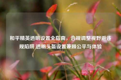 和平精英透明设置全指南,合规调整视野避违规陷阱 透明头盔设置兼顾公平与体验