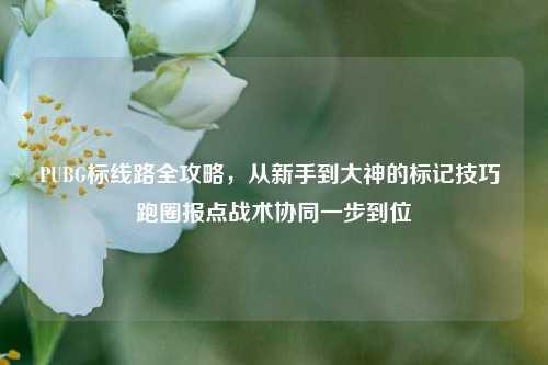 PUBG标线路全攻略,从新手到大神的标记技巧 跑圈报点战术协同一步到位