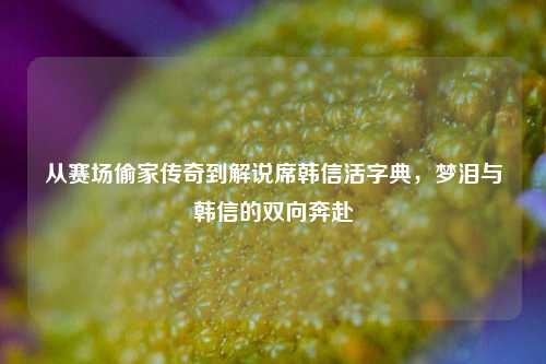 从赛场偷家传奇到解说席韩信活字典,梦泪与韩信的双向奔赴
