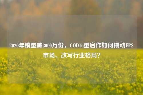 2020年销量破3000万份,COD16重启作如何撬动FPS市场、改写行业格局?