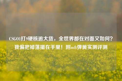 CSGO1打9硬核追大货,全世界都在对面又如何?我偏把掉落攥在手里!附mft弹簧实测评测