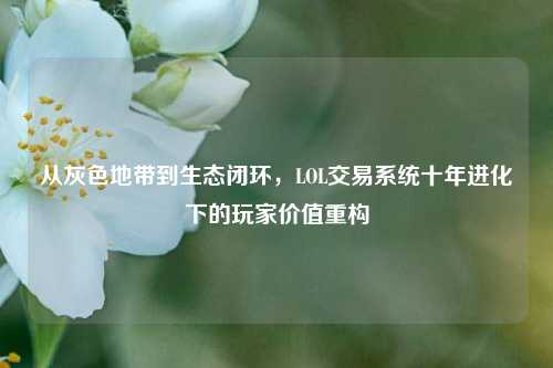 从灰色地带到生态闭环,LOL交易系统十年进化下的玩家价值重构
