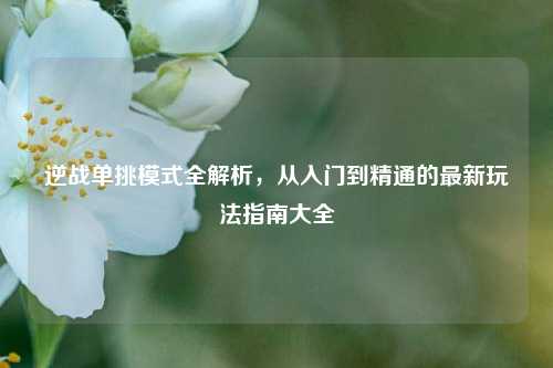 逆战单挑模式全解析,从入门到精通的最新玩法指南大全