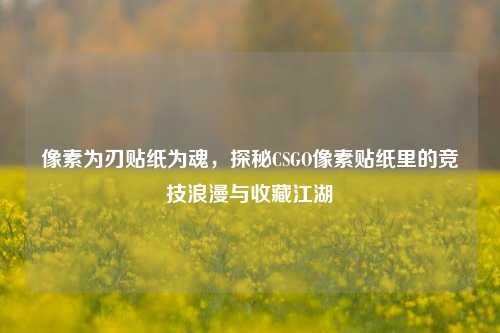 像素为刃贴纸为魂,探秘CSGO像素贴纸里的竞技浪漫与收藏江湖