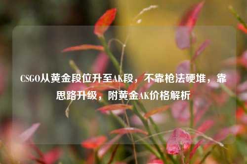 CSGO从黄金段位升至AK段,不靠枪法硬堆,靠思路升级,附黄金AK价格解析