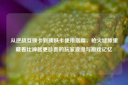 从逆战互换卡到换肤卡使用指南,枪火缝隙里藏着比神器更珍贵的玩家浪漫与游戏记忆