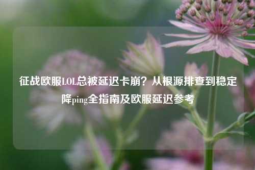 征战欧服LOL总被延迟卡崩?从根源排查到稳定降ping全指南及欧服延迟参考