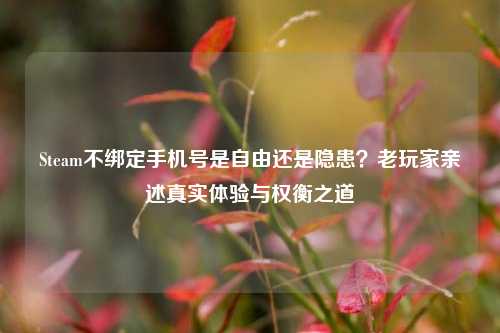 Steam不绑定手机号是自由还是隐患?老玩家亲述真实体验与权衡之道